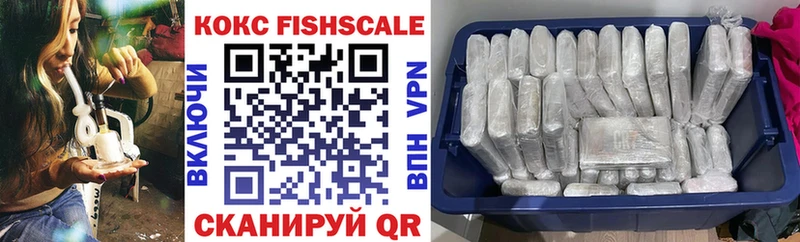 COCAIN Fish Scale  Купить где  Армянск 