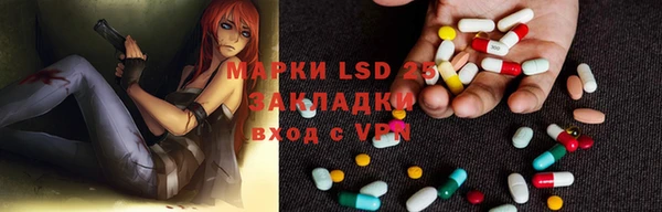 PSILOCYBIN Армянск
