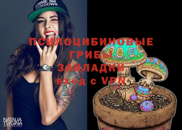 дживик Алзамай