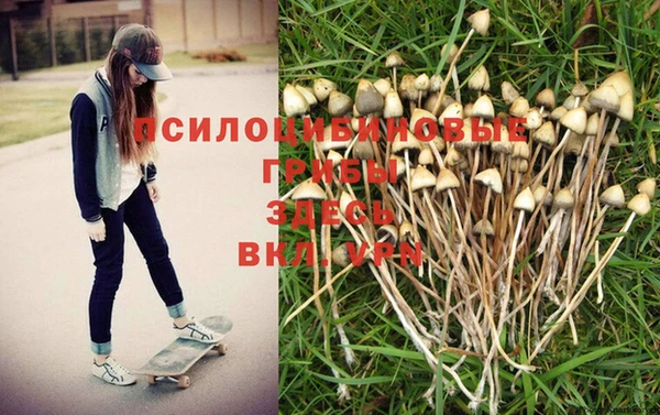 а пвп мука Аркадак