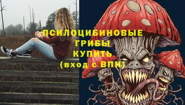 PSILOCYBIN Армянск