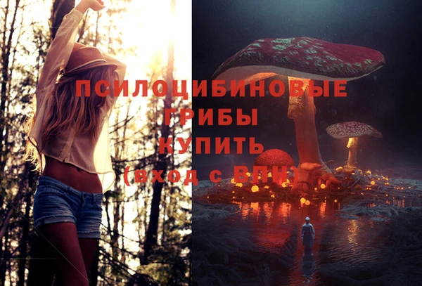 синтетический гашиш Арсеньев