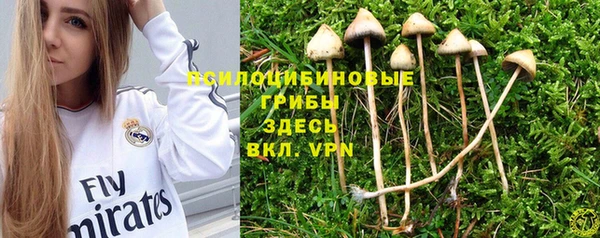 синтетический гашиш Арсеньев
